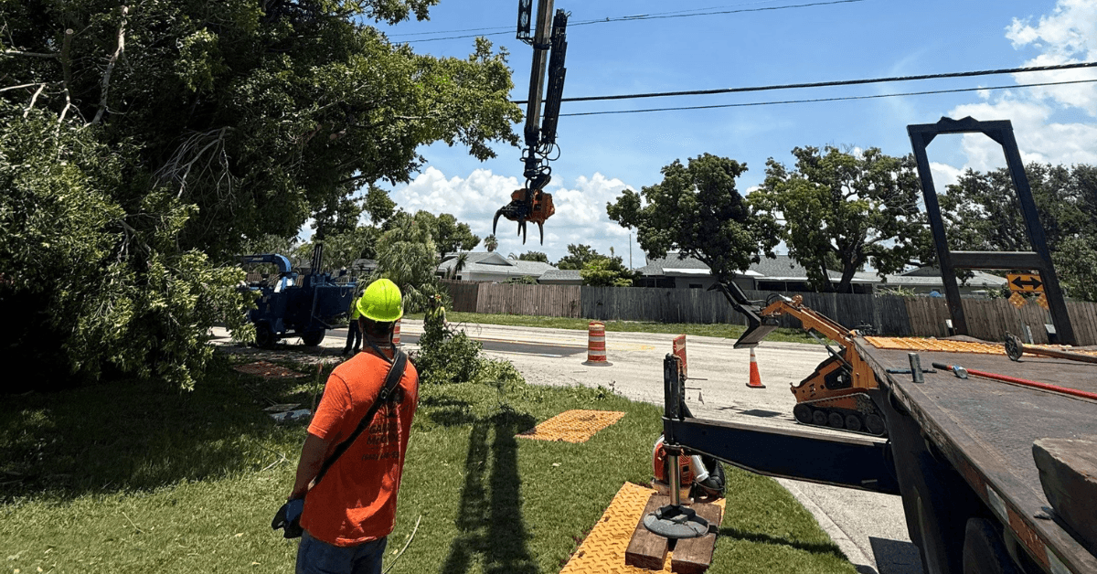 Land Clearing