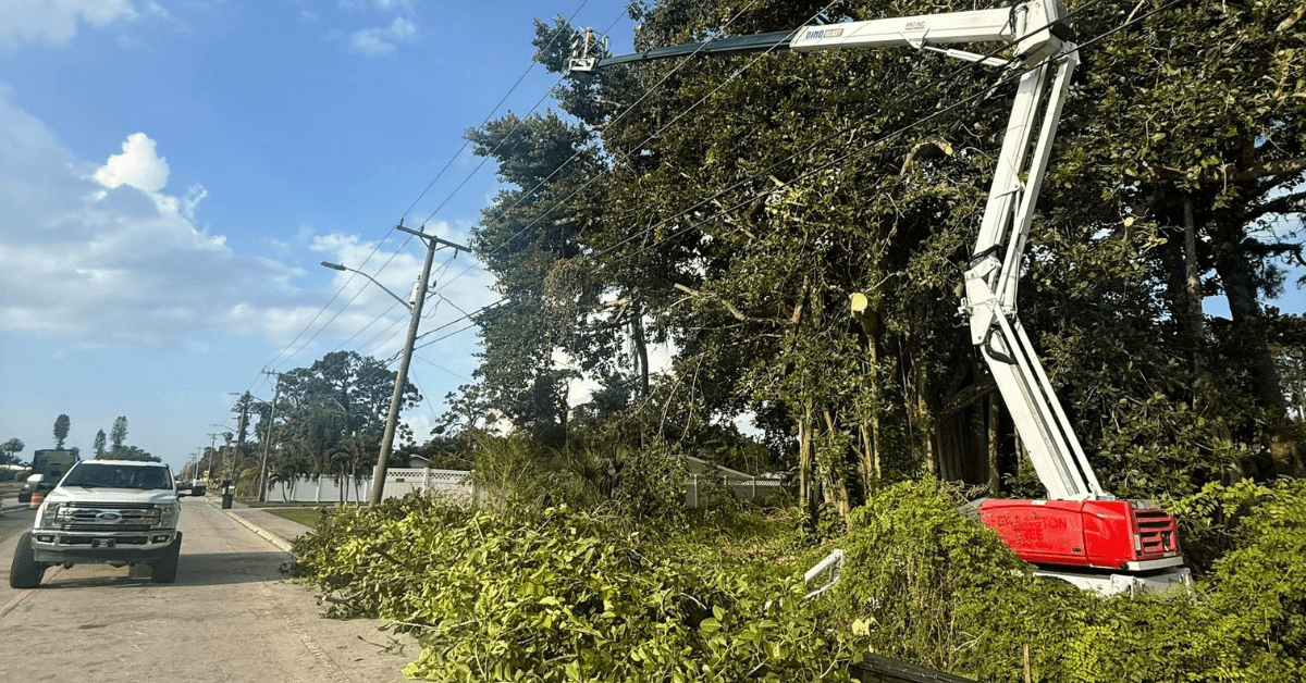 Tree Pruning