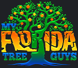 my florida tree guys logo