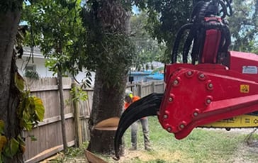 24/7 Emergency Tree Removal Venice FL