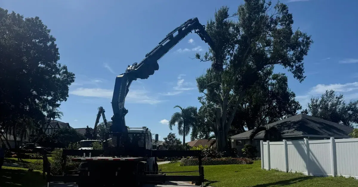 Fallen tree blocking driveway, Sarasota County insurance claim