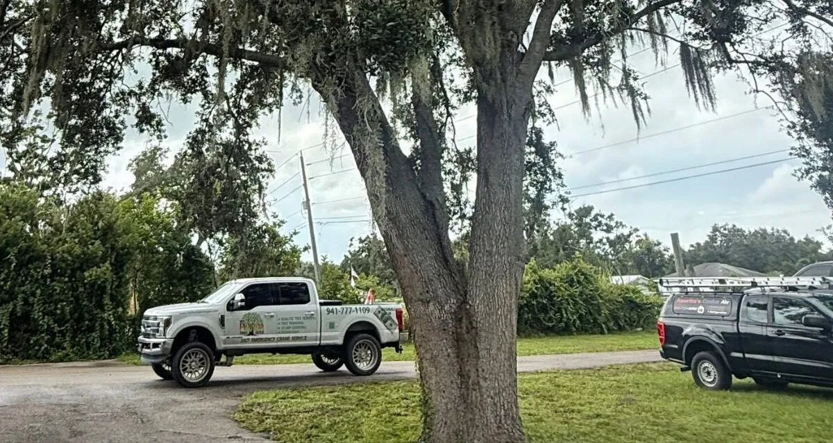 My Florida Tree Guys arborists are providing professional tree service in Nokomis, Florida, using modern equipment