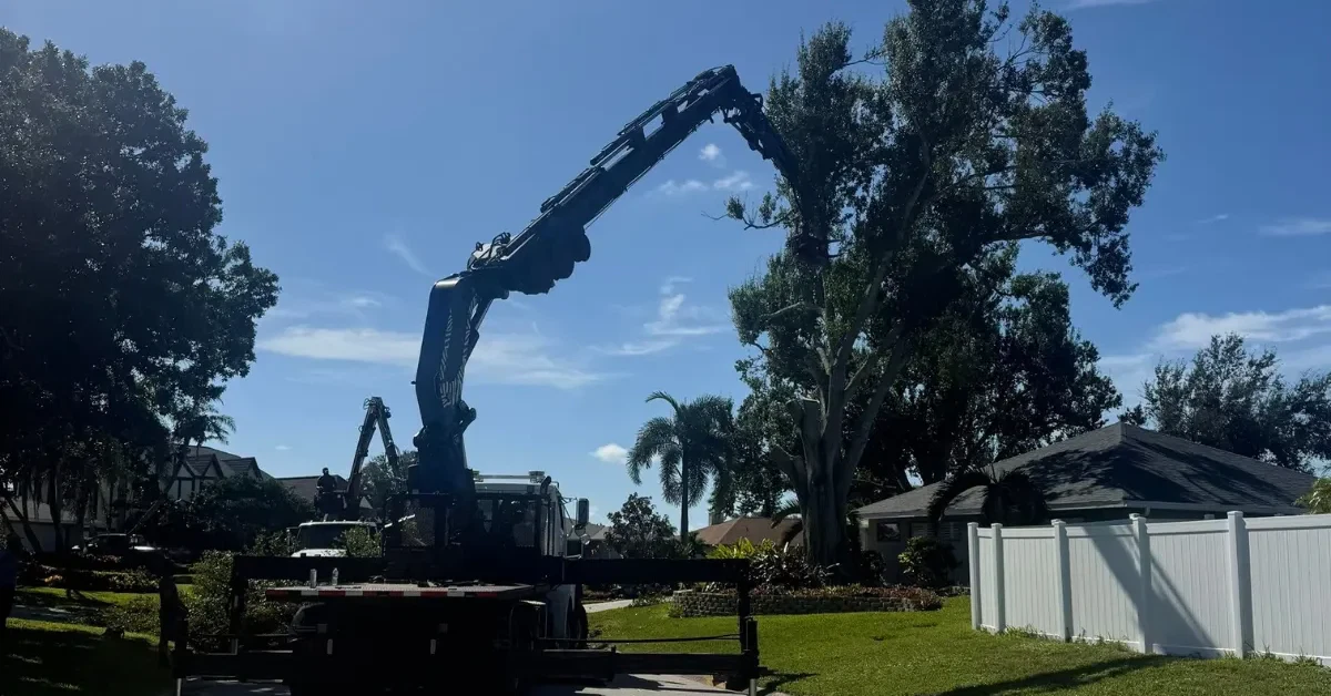 Fallen tree blocking driveway, Sarasota County insurance claim