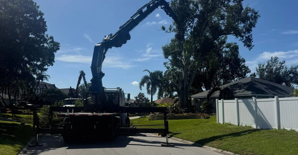 My Florida Tree Guys providing professional tree service in Longboat Key near the water