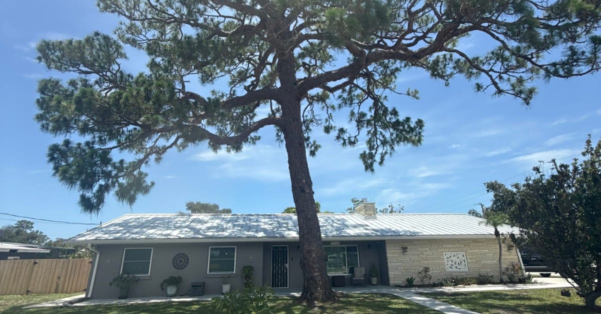 Do You Need a Permit to Remove a Tree